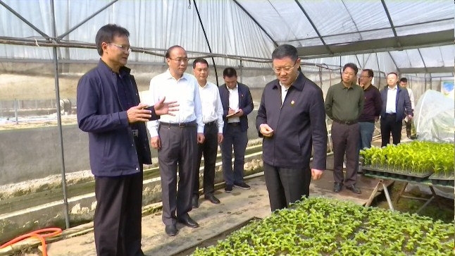 图为：袁毅书记调研和平镇台禾农业项目.jpg